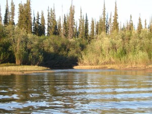 Photo of the mouth of the creek where we started fishing